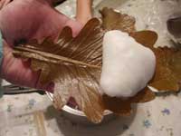 20060506kasiwa4.jpg