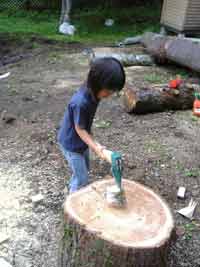20060709makiwari.jpg