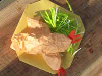 20070504origami.jpg