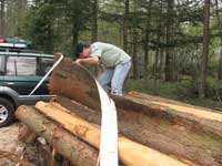 20070505handpeal.jpg