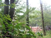 20070701f4.jpg