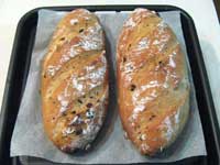 20080126baked.jpg