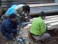 20081123dodaikakoS.jpg